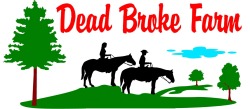 Dead Broke Farm Horse Camp