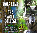 Wolf Camp and the Wolf College