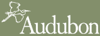 Audubon Conservation Education Center Summer Camp 