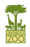San Francisco Zoo Camp