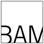 BAM Youth Summer Programs