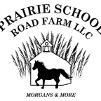 Prairie School Road Farm Llc