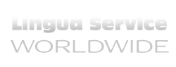 Lingua Service Worldwide Gap Programs